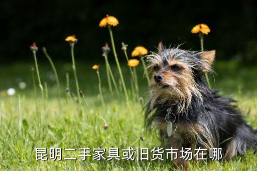 昆明高新区二手家具回收上门维修，昆明二手家具或旧货市场在哪