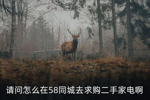 请问怎么在58同城去求购二手家电啊