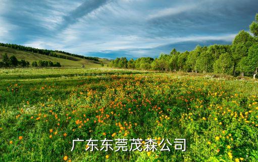 东莞镀锌厂家及联系方式，广东东莞茂森公司