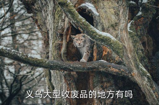 义乌大型收废品的地方有吗
