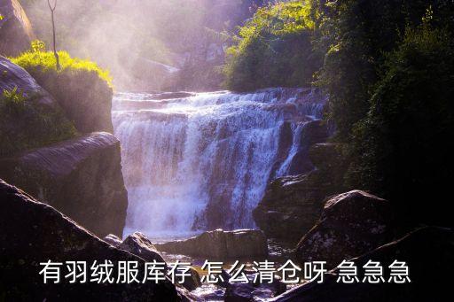 有羽绒服库存 怎么清仓呀 急急急