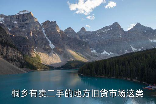 桐乡有卖二手的地方旧货市场这类