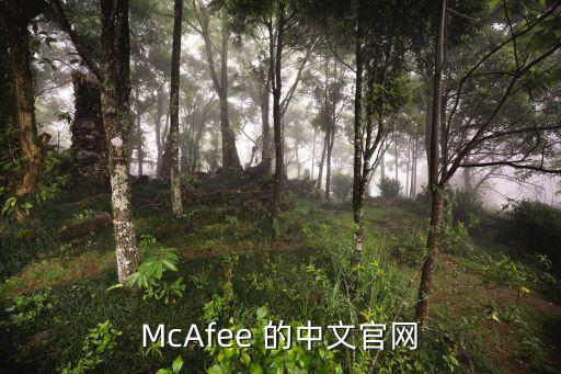 宝珀官方网，philps官方网站