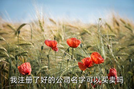 我注册了好的公司名字可以买卖吗