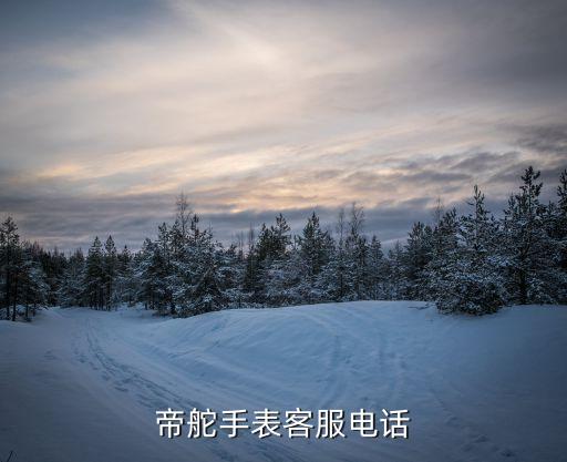 深圳帝舵手表专修电话，帝舵手表客服电话