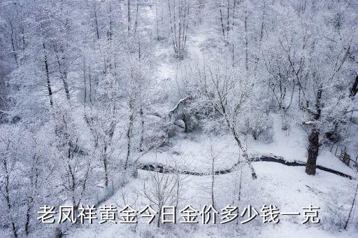 老凤祥黄金今日金价多少钱一克