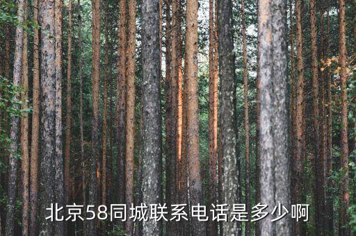 北京58同城联系电话是多少啊