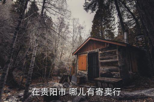 贵阳老酒回收达盛昌寄卖，请问贵阳哪有寄卖行