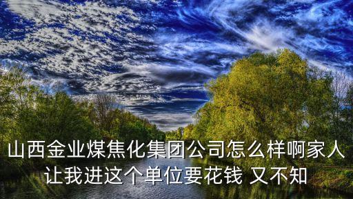 山西金业煤焦化集团公司怎么样啊家人让我进这个单位要花钱 又不知