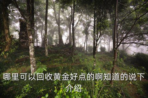 哪里可以回收黄金好点的啊知道的说下介绍