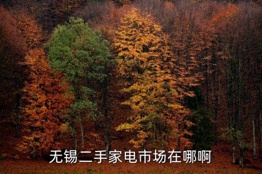 无锡二手家电市场在哪啊