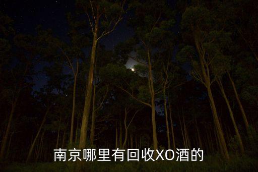 南京哪里有回收XO酒的
