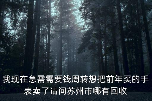 苏州哪里回收手表价格比较高，苏州临湖镇名表回收哪里最好