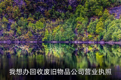 我想办回收废旧物品公司营业执照