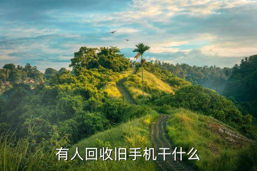 有人回收旧手机干什么