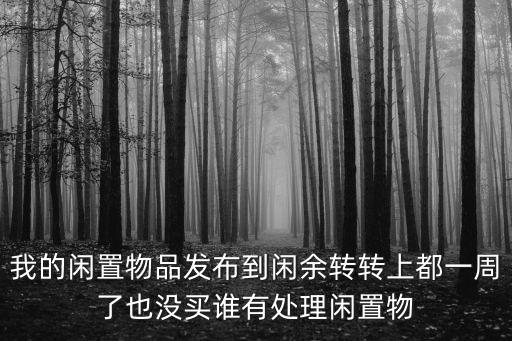 我的闲置物品发布到闲余转转上都一周了也没买谁有处理闲置物