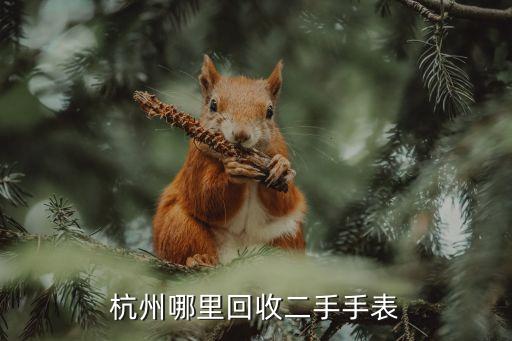 杭州哪里回收二手手表
