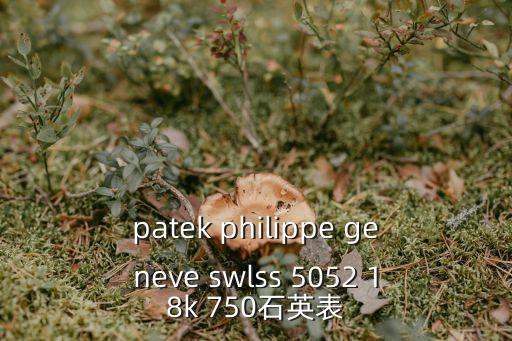 百达翡丽官网旗舰店鹦鹉螺，patek philippe geneve swlss 5052 18k 750石英表