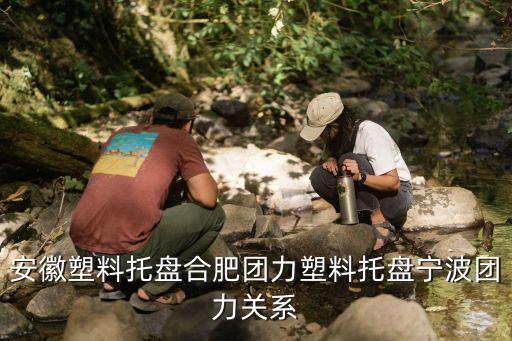 安徽塑料托盘合肥团力塑料托盘宁波团力关系