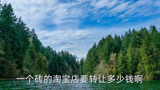 一个砖的淘宝店要转让多少钱啊
