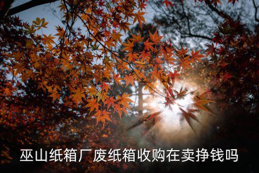 巫山纸箱厂废纸箱收购在卖挣钱吗
