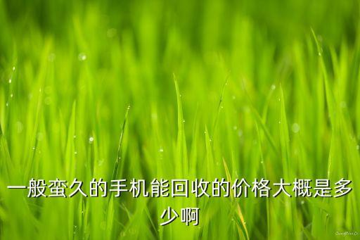 一般蛮久的手机能回收的价格大概是多少啊