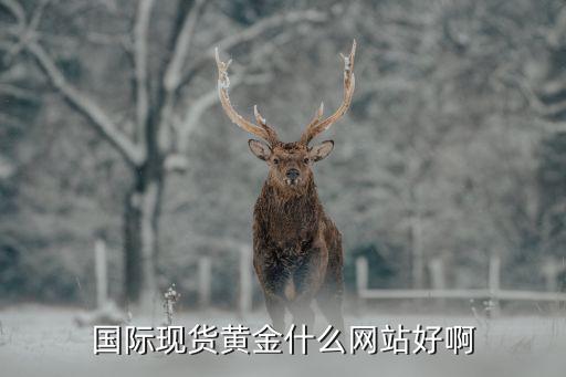 国际现货黄金什么网站好啊