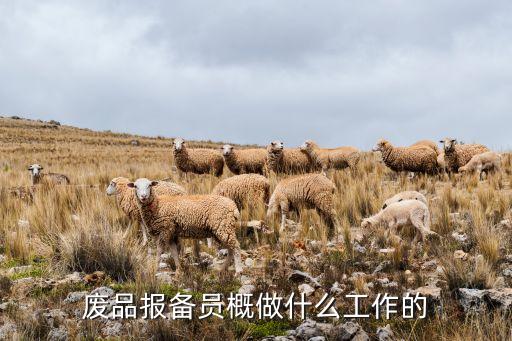 废品报备员概做什么工作的