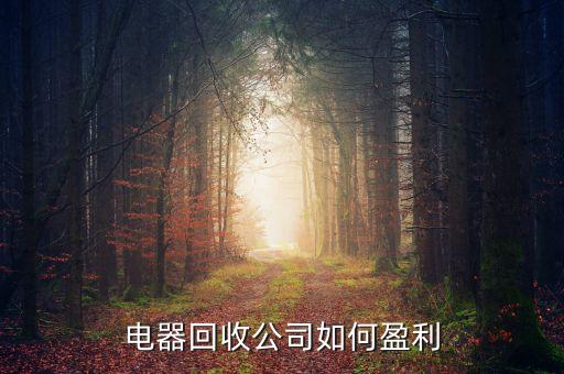 废旧电器回收怎么挣钱，废旧家电回收都是怎么赚钱的
