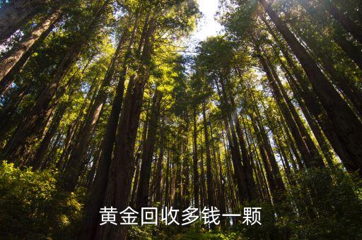黄金回收多钱一颗