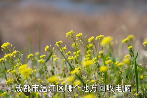 温江区二手家电回收，请问温江附近有没有二手家具和家电市场呢