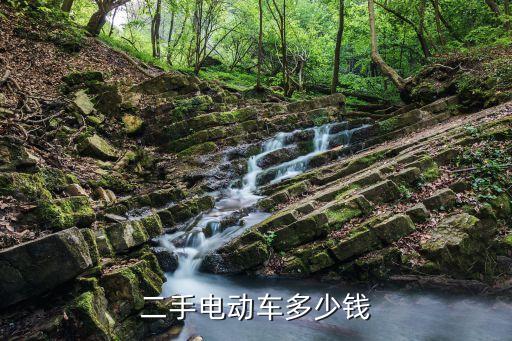 二手电动车多少钱