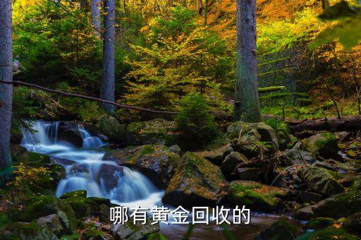 哪有黄金回收的