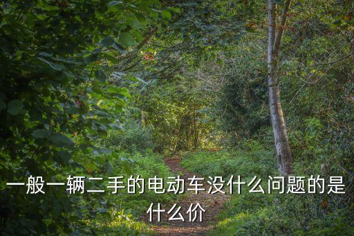 一般一辆二手的电动车没什么问题的是什么价