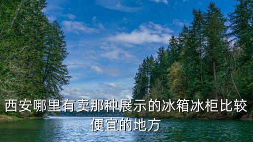 西安哪里有卖那种展示的冰箱冰柜比较便宜的地方