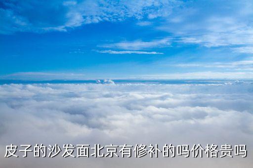 皮子的沙发面北京有修补的吗价格贵吗