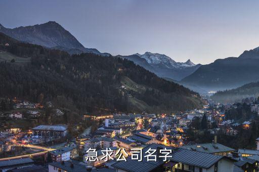 急求公司名字