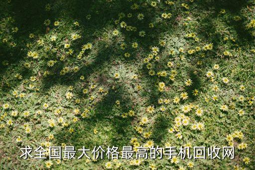 求全国最大价格最高的手机回收网