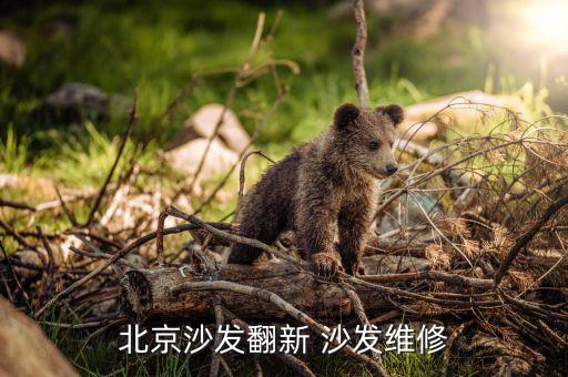 北京沙发翻新 沙发维修