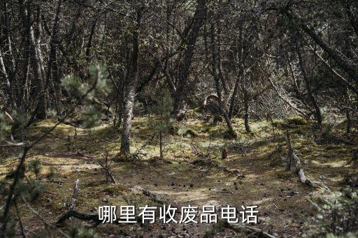哪里有收废品电话