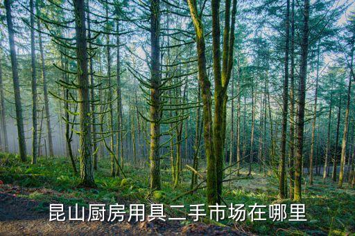 昆山厨房用具二手市场在哪里