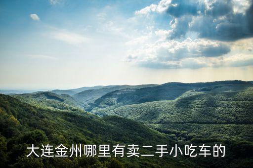 大连金州哪里有卖二手小吃车的