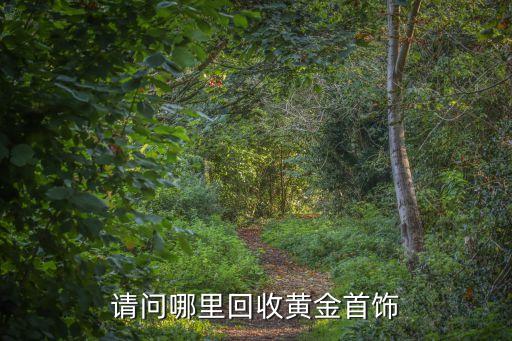 请问哪里回收黄金首饰