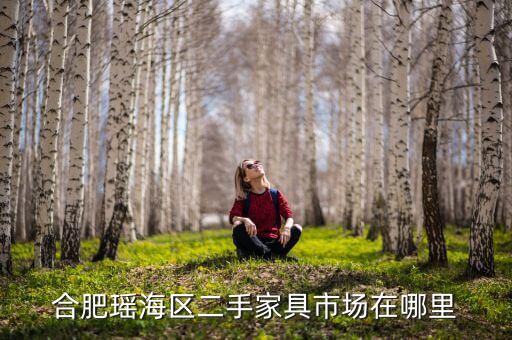 合肥瑶海区二手家具市场在哪里