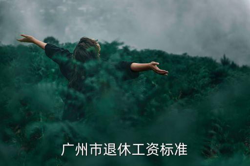 广州废品回收公司退休工资待遇，广州市退休工资标准