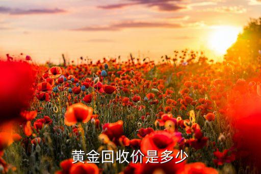 黄金回收价是多少