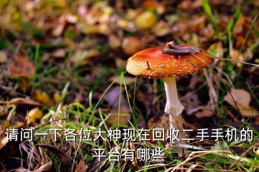 请问一下各位大神现在回收二手手机的平台有哪些