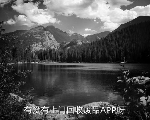 有没有上门回收废品APP呀