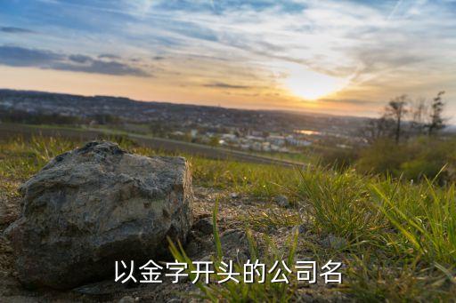 五行属金字最旺公司名字，以金字开头的公司名