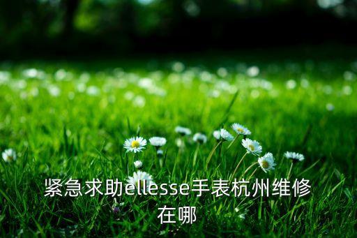 杭州欧米茄售后服务中心，紧急求助ellesse手表杭州维修在哪